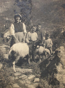 Donna con bambini al pascolo , con capra e pecora (1920)